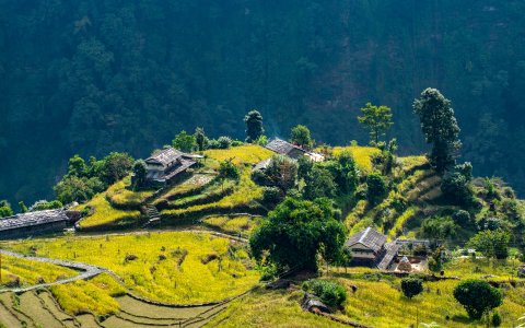 Nepal - rzut oka na Himalaje (18).jpg